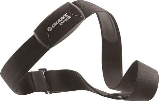 FASCIA CARDIO GIANT BLUETOOTH ANT+