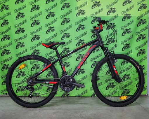 BICI VICINI PIRATA 24”