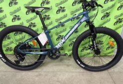 Alternative view of BICI LOMBARDO VESUVIO 24" DISC