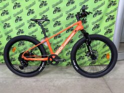 BICI LOMBARDO VESUVIO 24" DISC